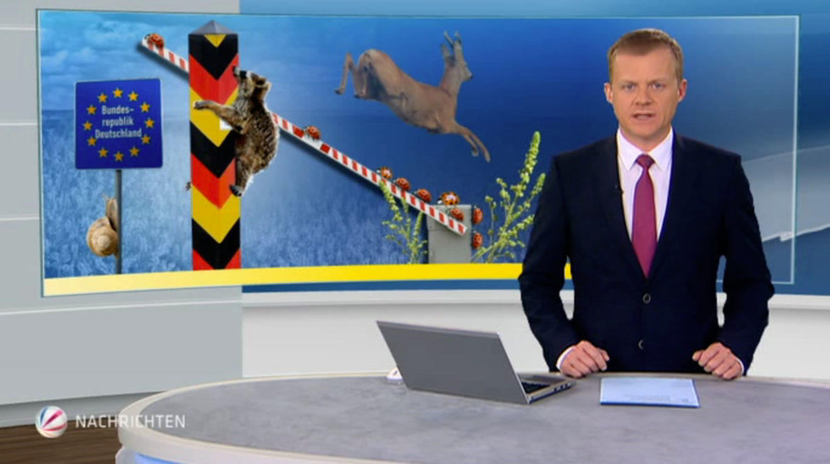 TV Grafiken, News SAT.1, ProSieben, Kabel Eins