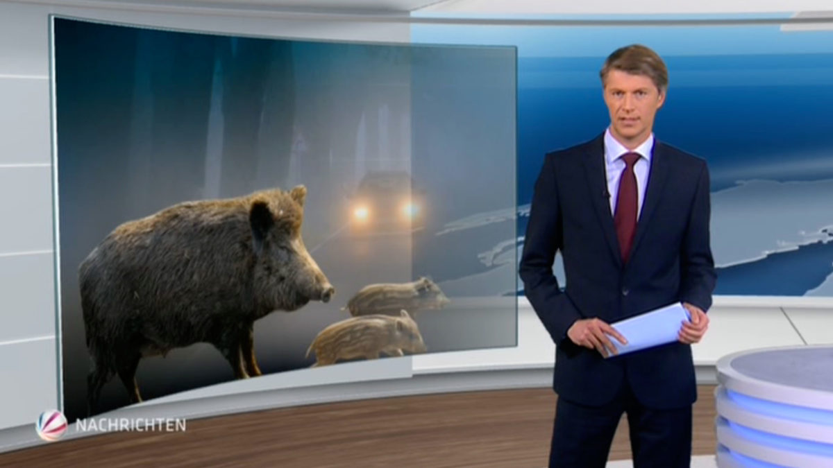 TV Grafiken, News SAT.1, ProSieben, Kabel Eins