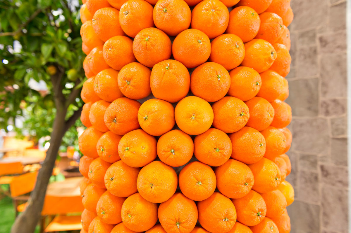Turkey, FRUIT LOGISTICA Berlin
