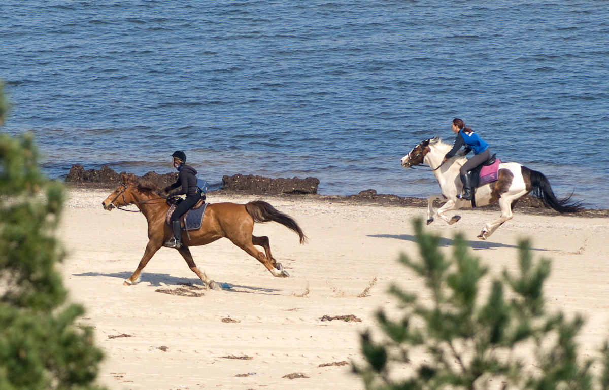 Seaside Residencies Heringsdorf